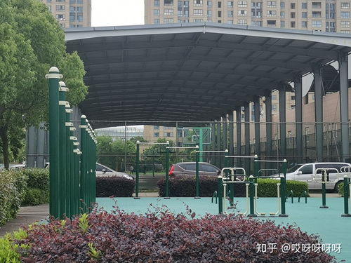 浙江建设职业技术学院和宁波职业技术学院(浙江建设职业技术学院和浙江工业职业技术学院哪个好)