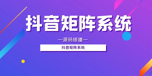 抖音seo收费(seo服务收费)