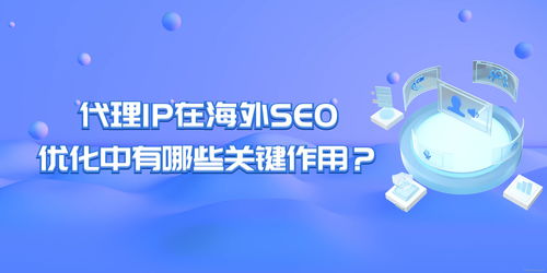 seo优化管理(seo的优化流程)