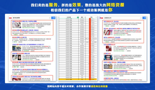 seo案例网站排名(seo案例网站排名第一)