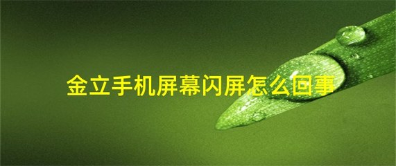 金立手机开发者选项在哪里(金立手机的开发者选项在哪里)