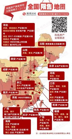 保定房产政策最新消息(保定房产政策最新消息查询)