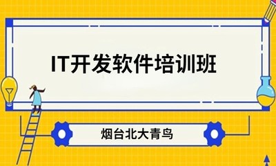 卢湾网站制作(卢湾网站制作公司)