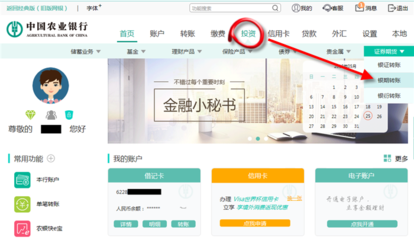 农业银行个人网上银行登录入口(农业银行个人网上银行登录入口在哪)