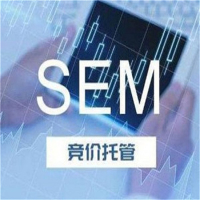 竞价托管sem服务(竞价托管如何托管)