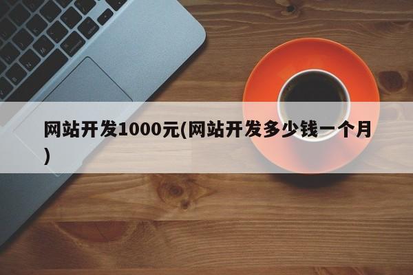 网站开发1000元(网站开发多少钱一个月)