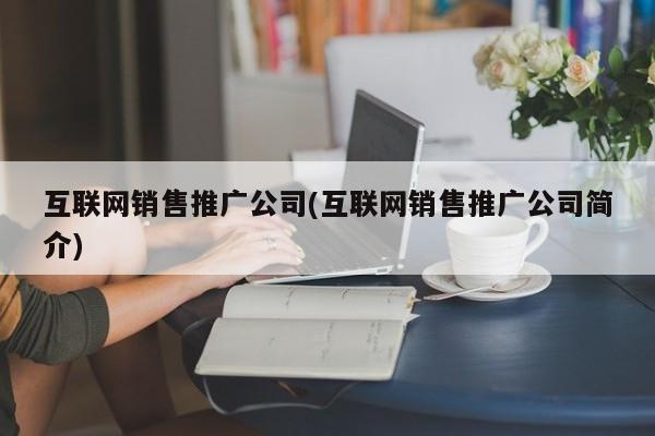 互联网销售推广公司(互联网销售推广公司简介)