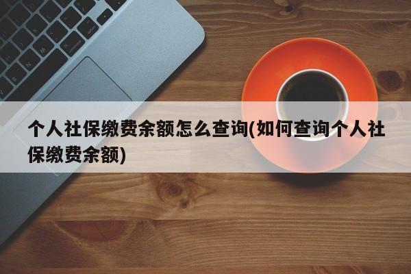 个人社保缴费余额怎么查询(如何查询个人社保缴费余额)