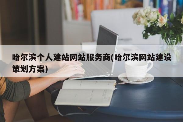 哈尔滨个人建站网站服务商(哈尔滨网站建设策划方案)