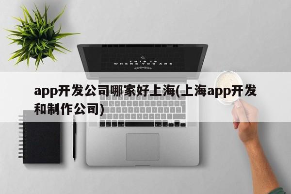 app开发公司哪家好上海(上海app开发和制作公司)