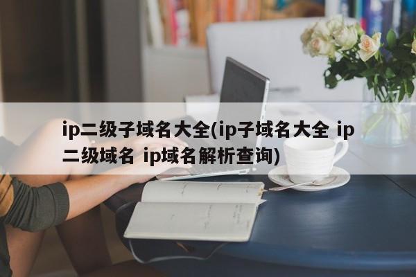 ip二级子域名大全(ip子域名大全 ip二级域名 ip域名解析查询)